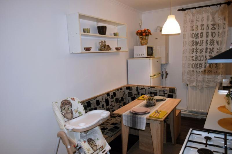 Apartament Thea Apartment Fagaras Bagian luar foto