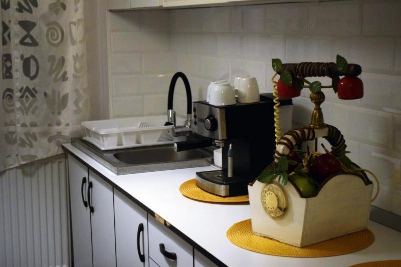 Apartament Thea Apartment Fagaras Bagian luar foto