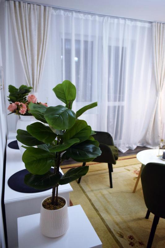 Apartament Thea Apartment Fagaras Bagian luar foto