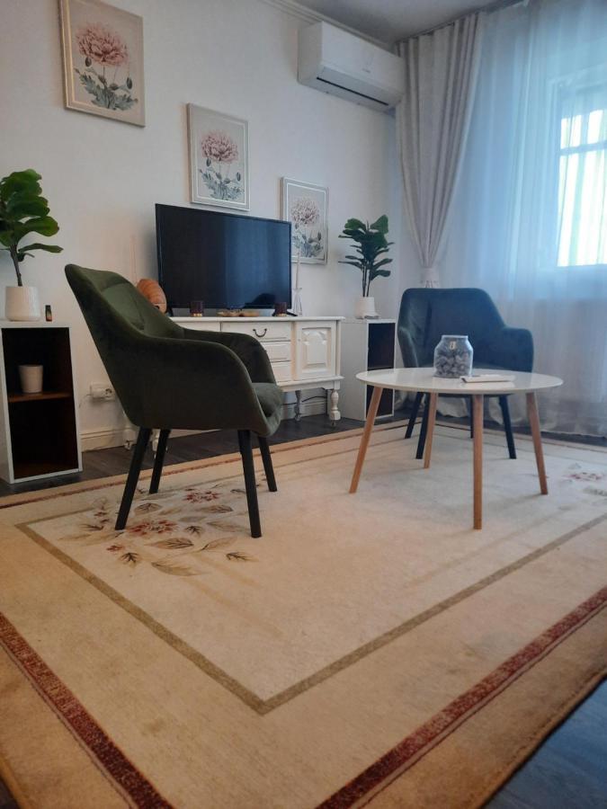 Apartament Thea Apartment Fagaras Bagian luar foto